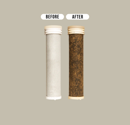 The Noohé Carbon Fiber long filter